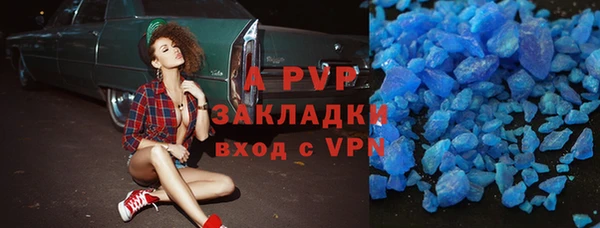 индика Беломорск