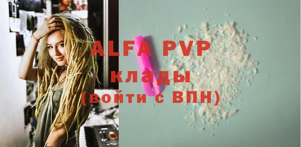 индика Беломорск