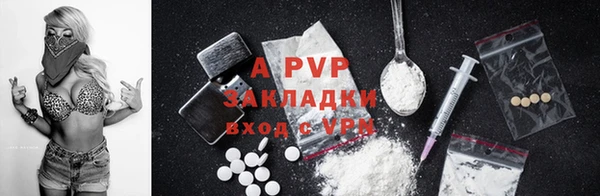 индика Беломорск