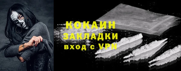 индика Беломорск