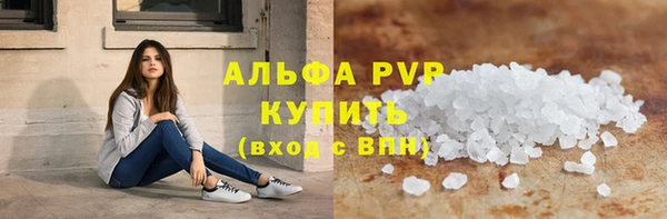 индика Беломорск