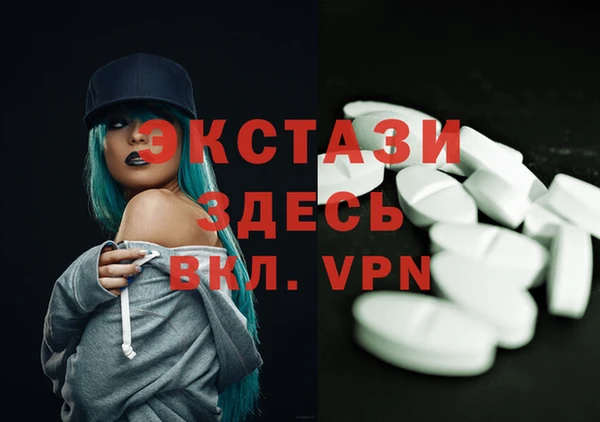 индика Беломорск