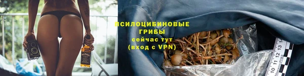 индика Беломорск