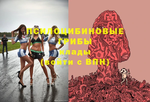 apvp Белокуриха