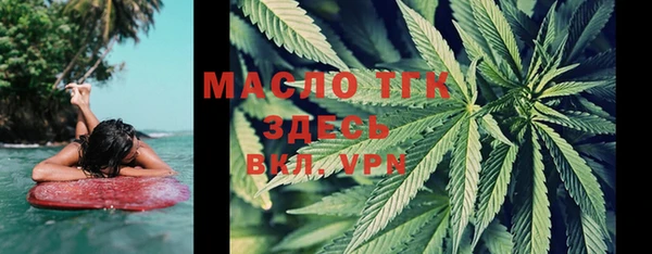 индика Беломорск