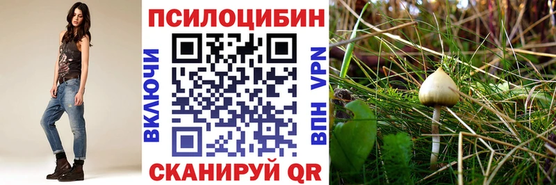 Псилоцибиновые грибы Cubensis  Купить где  Полярный 